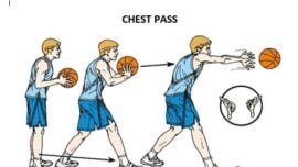 basketball Chest pass