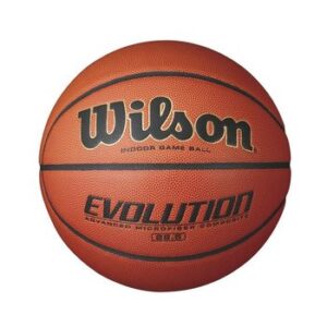 wilson indoor basketball goal